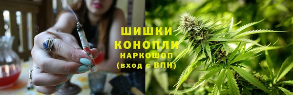 дурь Богданович