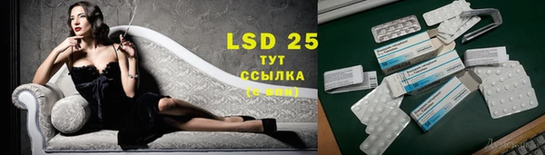 дурь Богданович