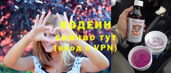 дурь Богданович