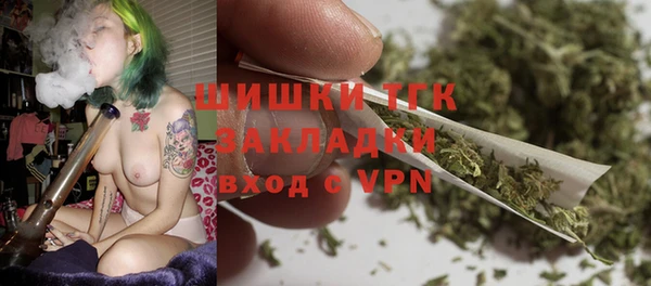 дурь Богданович