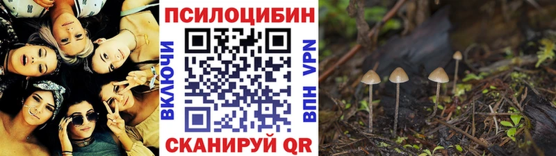 наркотики Миасс Псилоцибиновые грибы мицелий